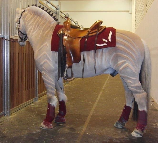 Blandet søde sjove billeder og tekster  billede 86