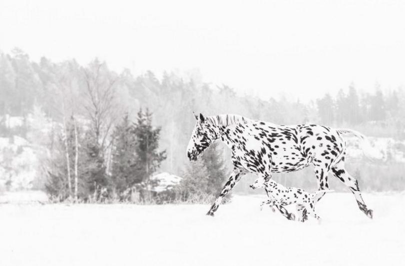 Blandet søde sjove billeder og tekster  billede 89