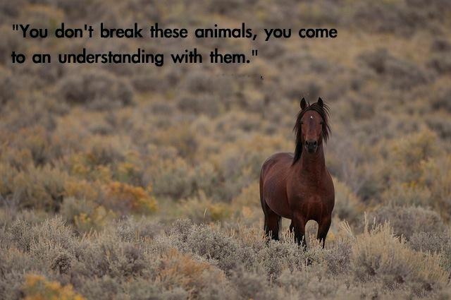 Blandet søde sjove billeder og tekster  billede 90