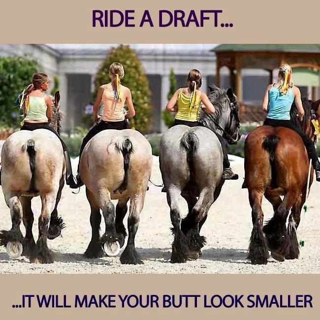 Blandet søde sjove billeder og tekster  billede 92