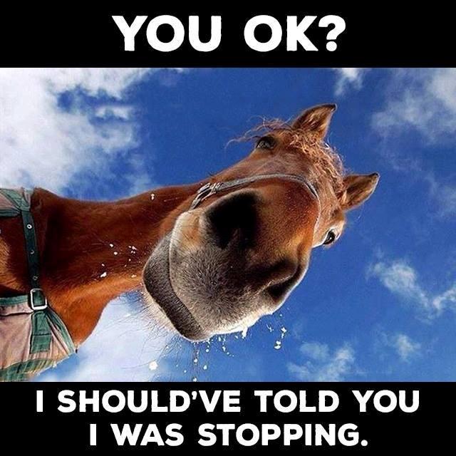 Blandet søde sjove billeder og tekster  billede 94