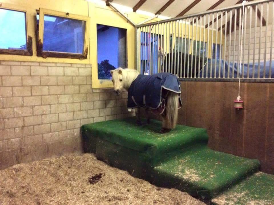 Blandet søde sjove billeder og tekster  billede 99