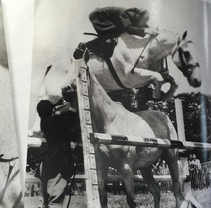 Blandet søde sjove billeder og tekster  billede 100