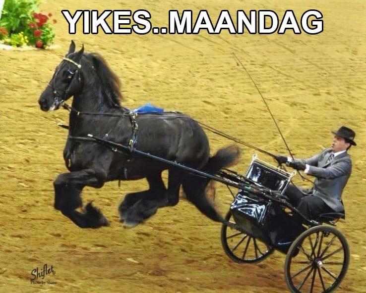 Blandet søde sjove billeder og tekster  billede 102