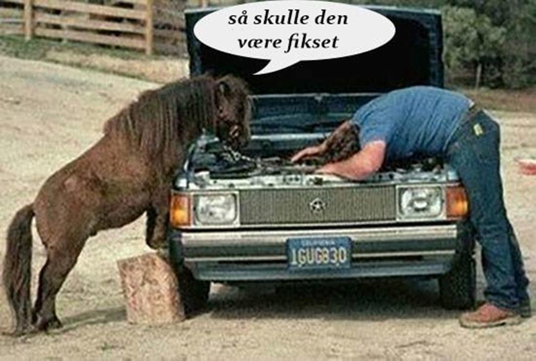 Blandet søde sjove billeder og tekster  billede 107