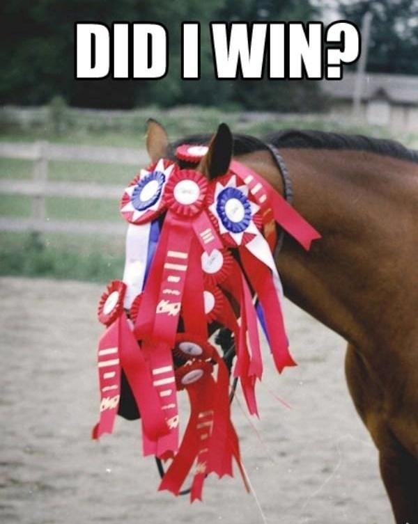 Blandet søde sjove billeder og tekster  billede 110