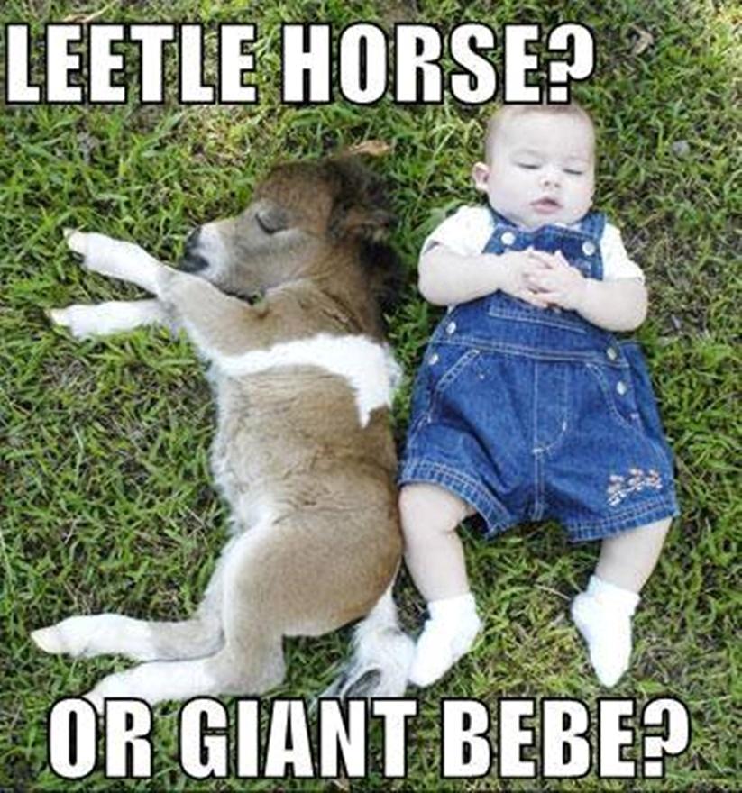 Blandet søde sjove billeder og tekster  billede 111