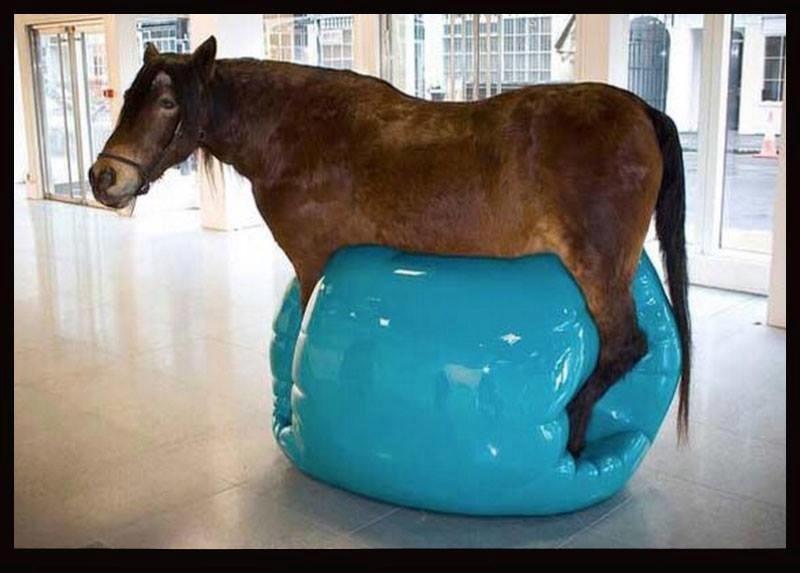 Blandet søde sjove billeder og tekster  billede 112