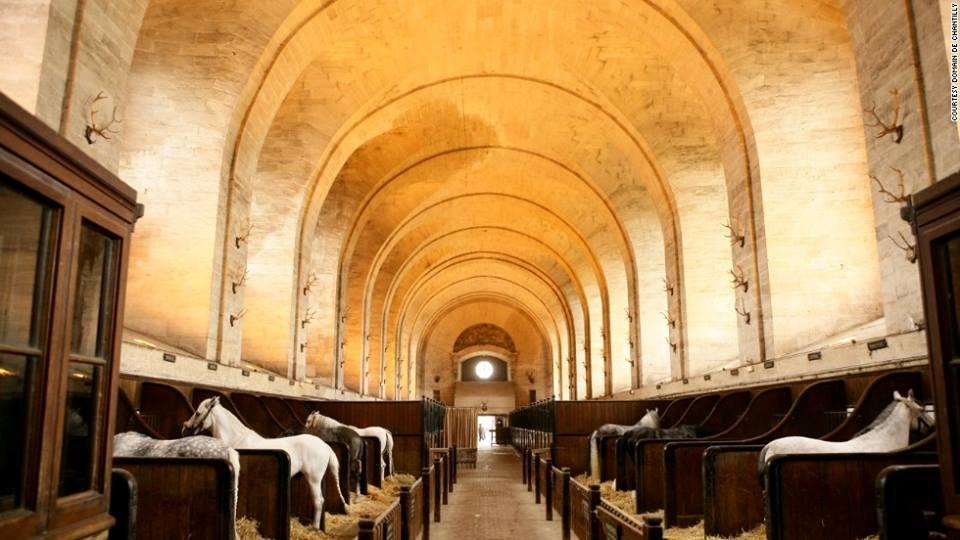 Blandet søde sjove billeder og tekster  billede 113