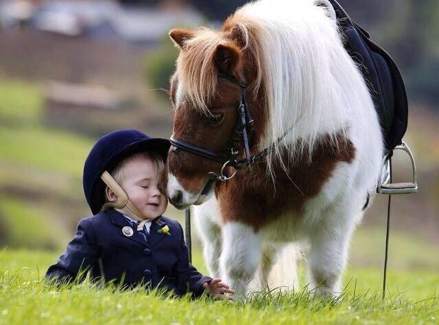 Blandet søde sjove billeder og tekster  billede 116