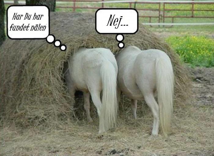 Blandet søde sjove billeder og tekster  billede 117