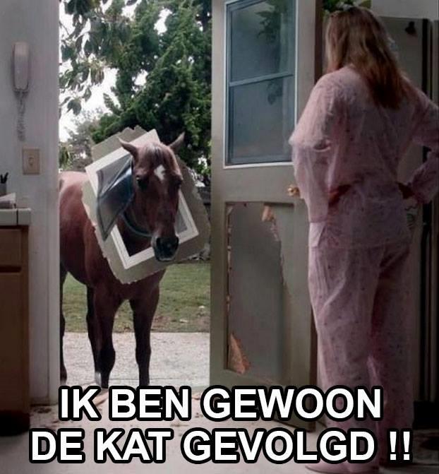 Blandet søde sjove billeder og tekster  billede 114