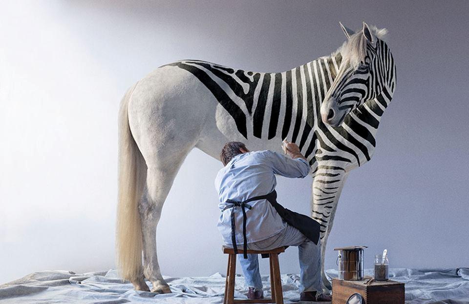 Blandet søde sjove billeder og tekster  billede 119