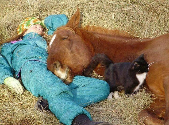 Blandet søde sjove billeder og tekster  billede 121