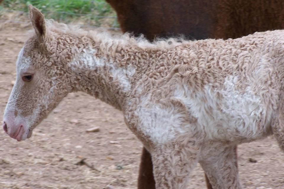 Blandet søde sjove billeder og tekster  billede 122