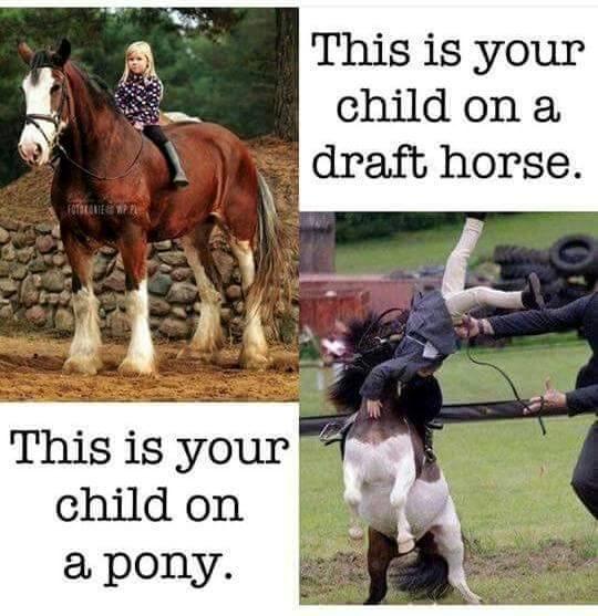 Blandet søde sjove billeder og tekster  billede 127