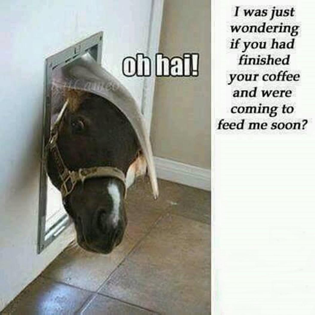 Blandet søde sjove billeder og tekster  billede 129