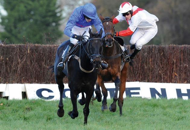 Blandet søde sjove billeder og tekster  billede 130