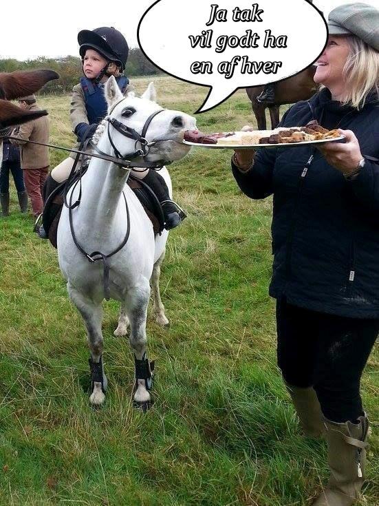 Blandet søde sjove billeder og tekster  billede 132