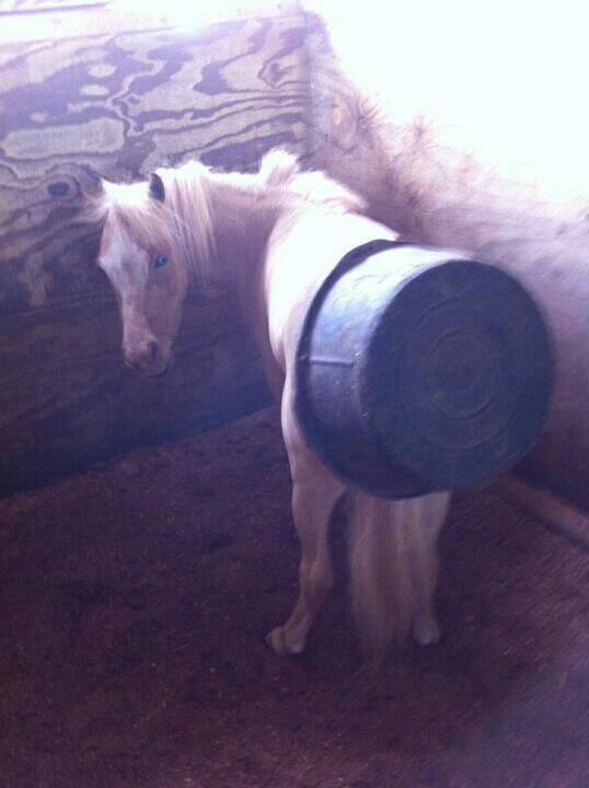 Blandet søde sjove billeder og tekster  billede 134