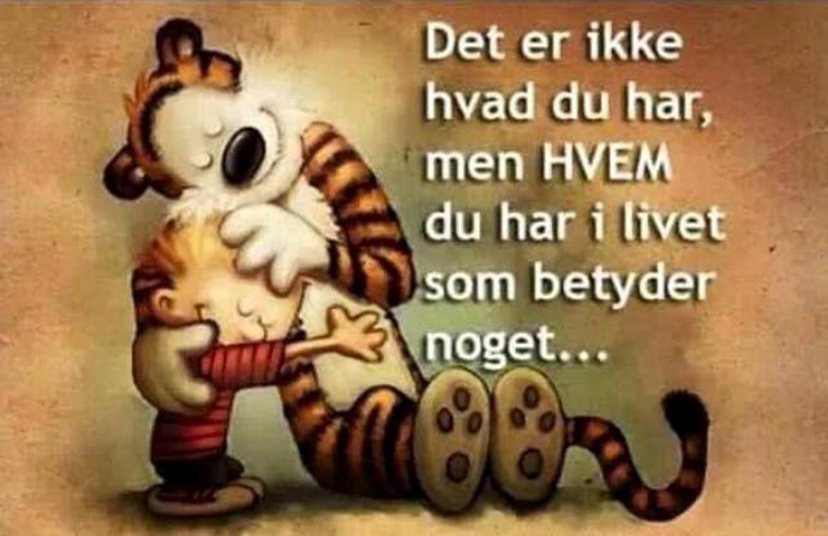 Blandet søde sjove billeder og tekster  billede 141