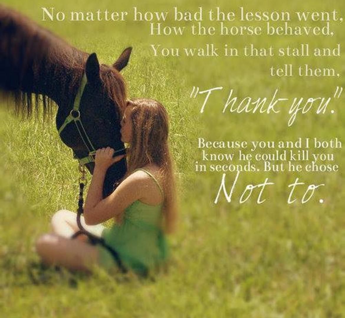 Blandet søde sjove billeder og tekster  billede 142