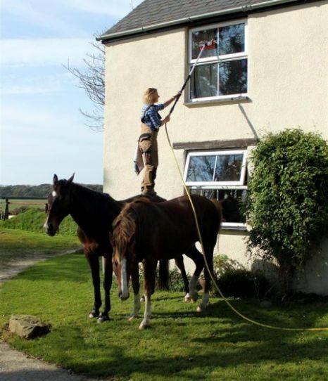 Blandet søde sjove billeder og tekster  billede 144