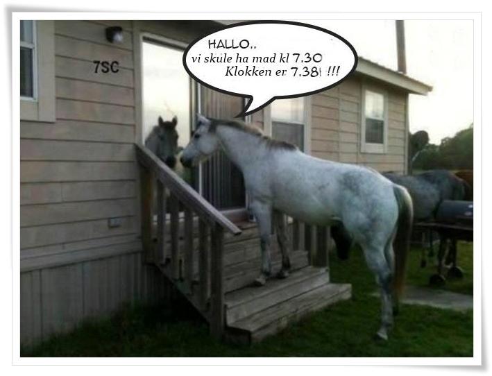 Blandet søde sjove billeder og tekster  billede 154