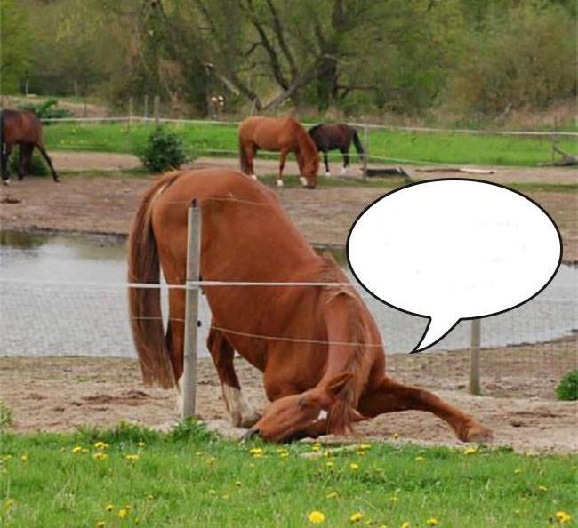 Blandet søde sjove billeder og tekster  billede 155