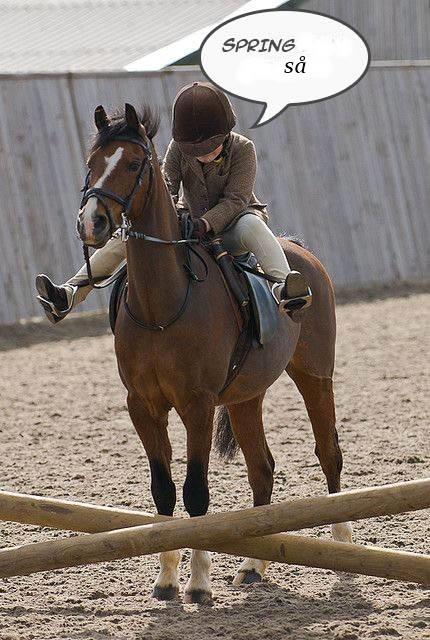Blandet søde sjove billeder og tekster  billede 158