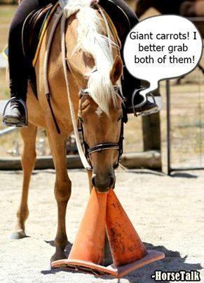 Blandet søde sjove billeder og tekster  billede 162