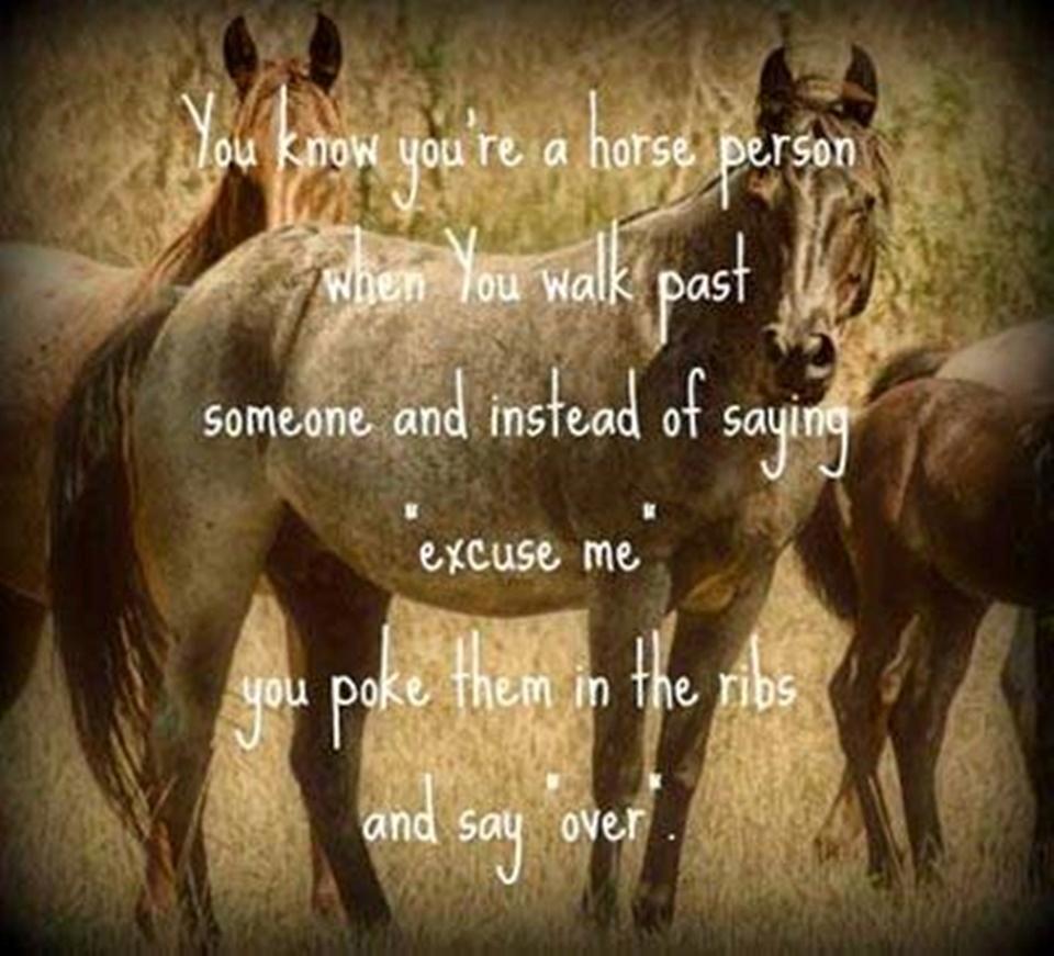 Blandet søde sjove billeder og tekster  billede 165