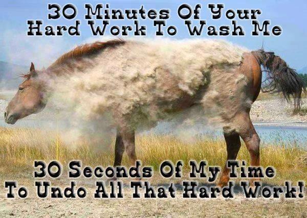 Blandet søde sjove billeder og tekster  billede 171