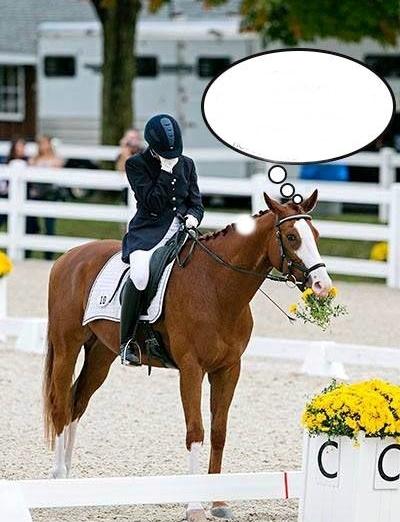 Blandet søde sjove billeder og tekster  billede 172