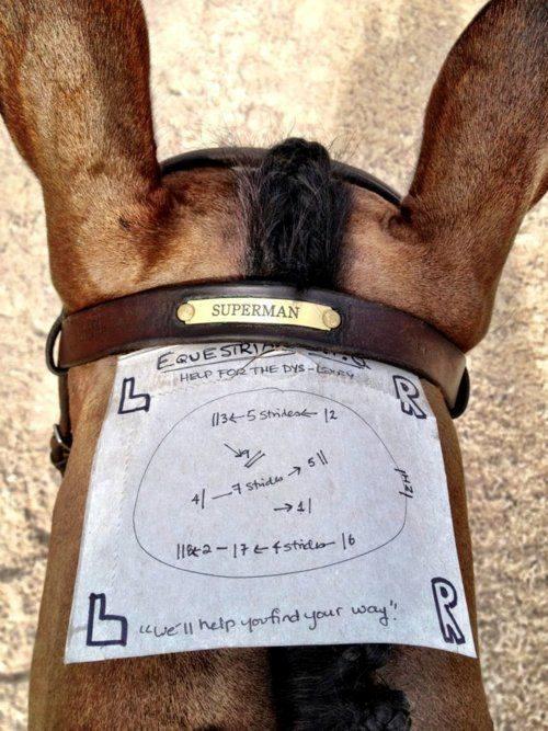 Blandet søde sjove billeder og tekster  billede 176