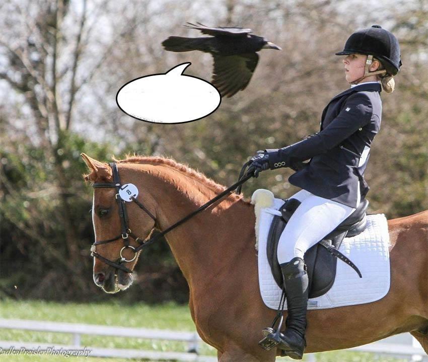 Blandet søde sjove billeder og tekster  billede 181