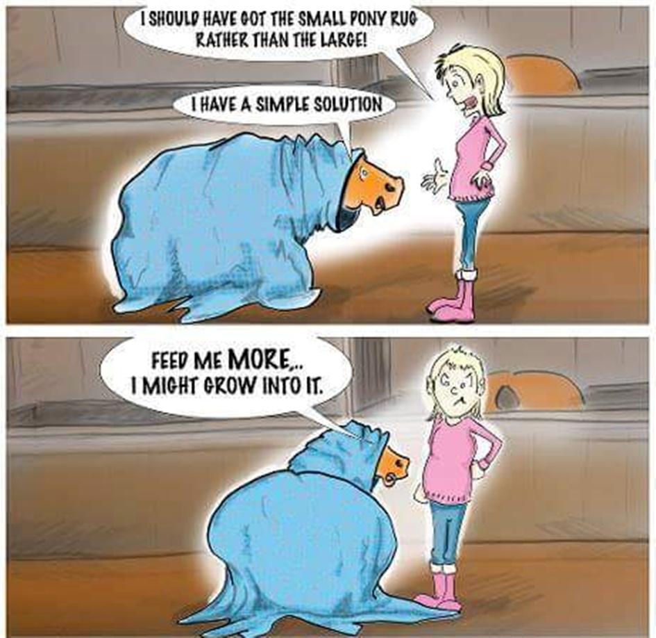 Blandet søde sjove billeder og tekster  billede 184