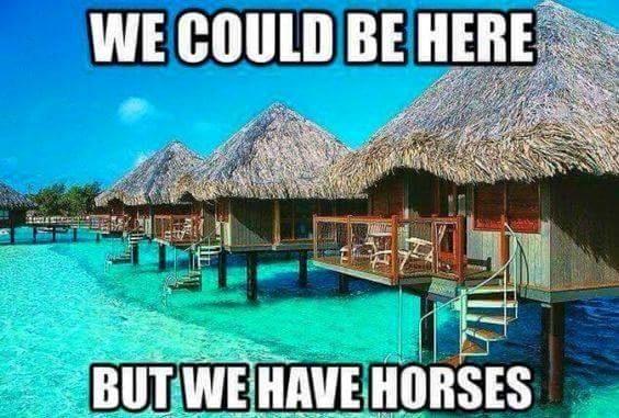 Blandet søde sjove billeder og tekster  billede 185