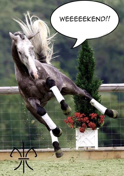 Blandet søde sjove billeder og tekster  billede 186