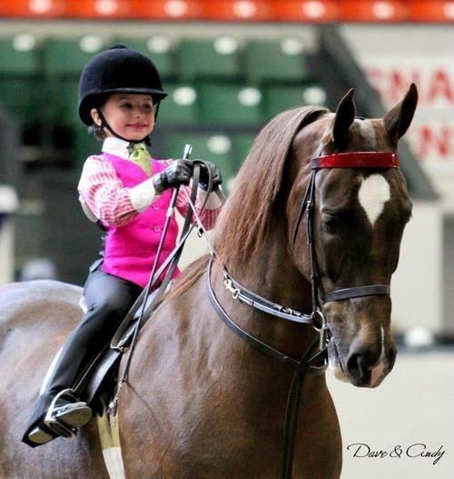 Blandet søde sjove billeder og tekster  billede 188