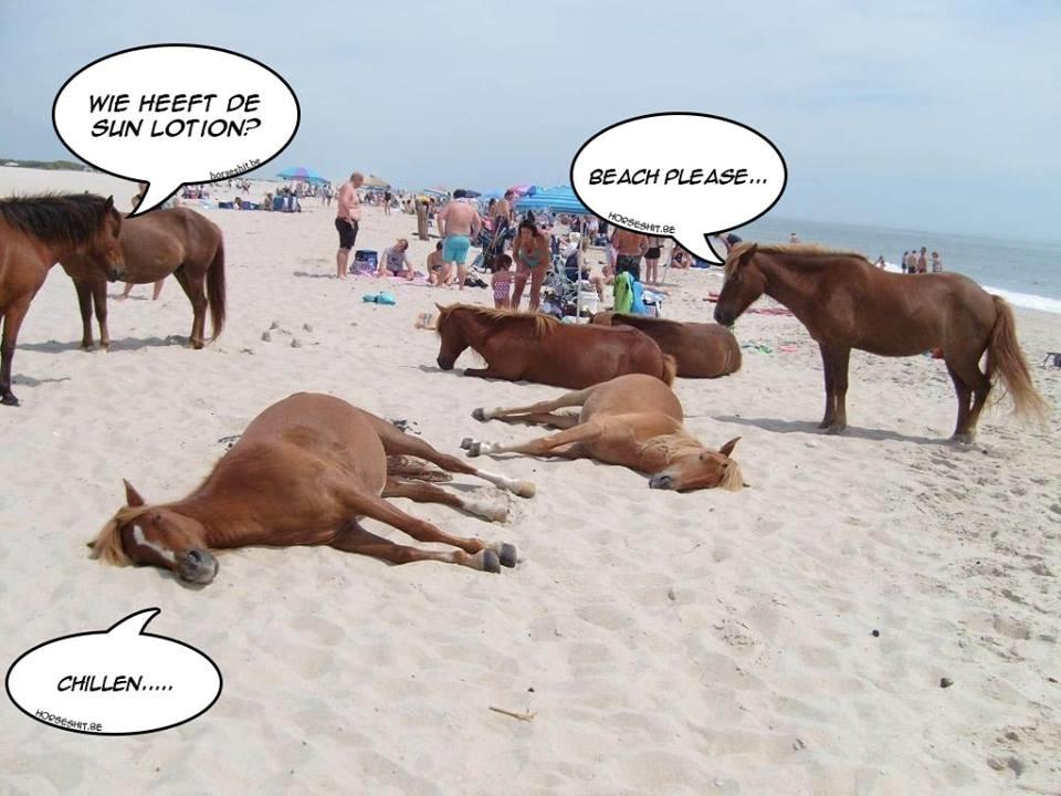 Blandet søde sjove billeder og tekster  billede 191