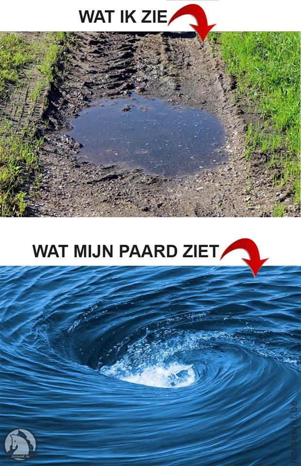 Blandet søde sjove billeder og tekster  billede 193