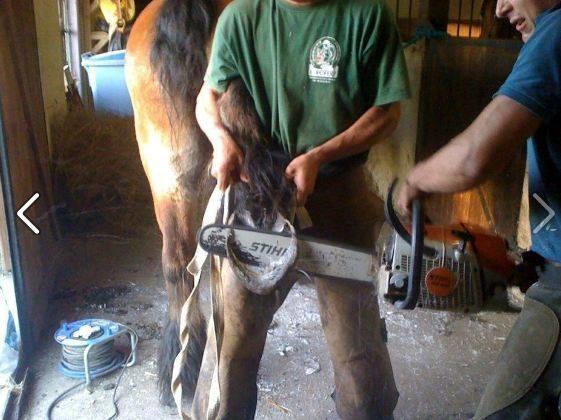 Blandet søde sjove billeder og tekster  billede 195