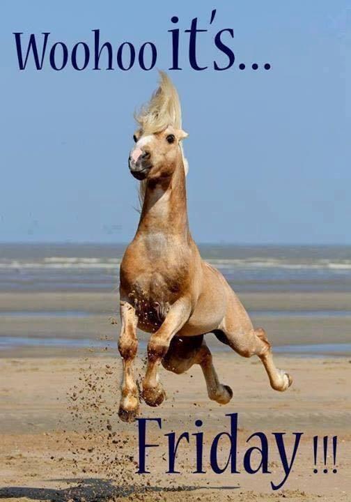 Blandet søde sjove billeder og tekster  billede 197