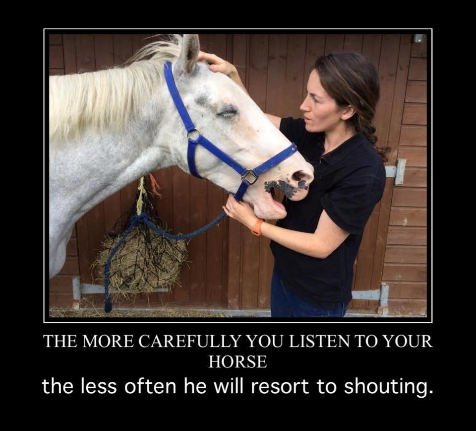 Blandet søde sjove billeder og tekster  billede 201