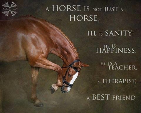 Blandet søde sjove billeder og tekster  billede 205