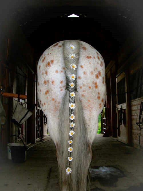 Blandet søde sjove billeder og tekster  billede 207