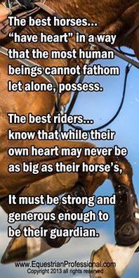 Blandet søde sjove billeder og tekster  billede 206