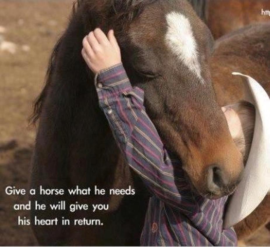 Blandet søde sjove billeder og tekster  billede 209