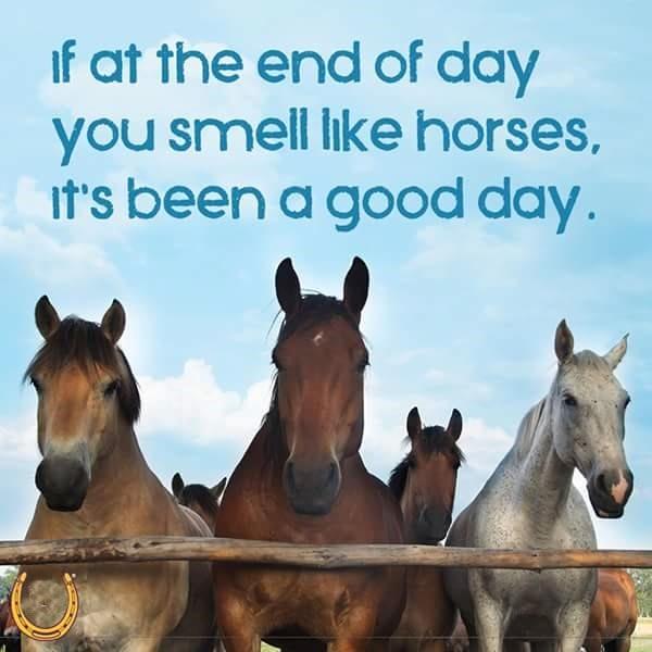 Blandet søde sjove billeder og tekster  billede 214